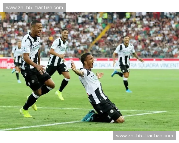 红黑荣耀与黑白坚韧：AC米兰vs乌迪内斯，一场不容错过的意甲史诗